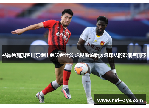 马德鲁加加盟山东泰山意味着什么 深度解读新援对球队的影响与前景