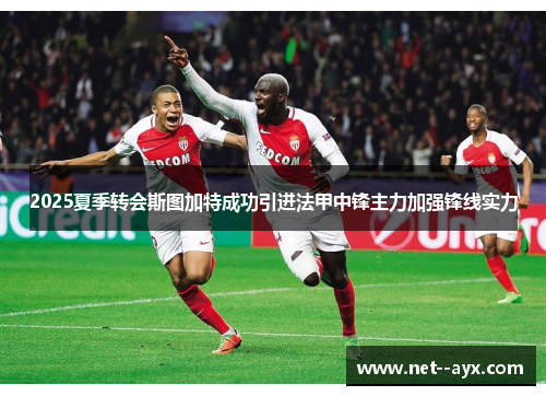 2025夏季转会斯图加特成功引进法甲中锋主力加强锋线实力