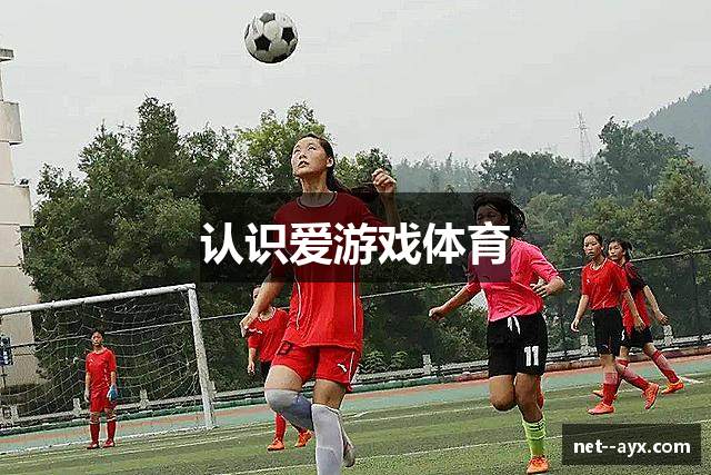 认识爱游戏体育